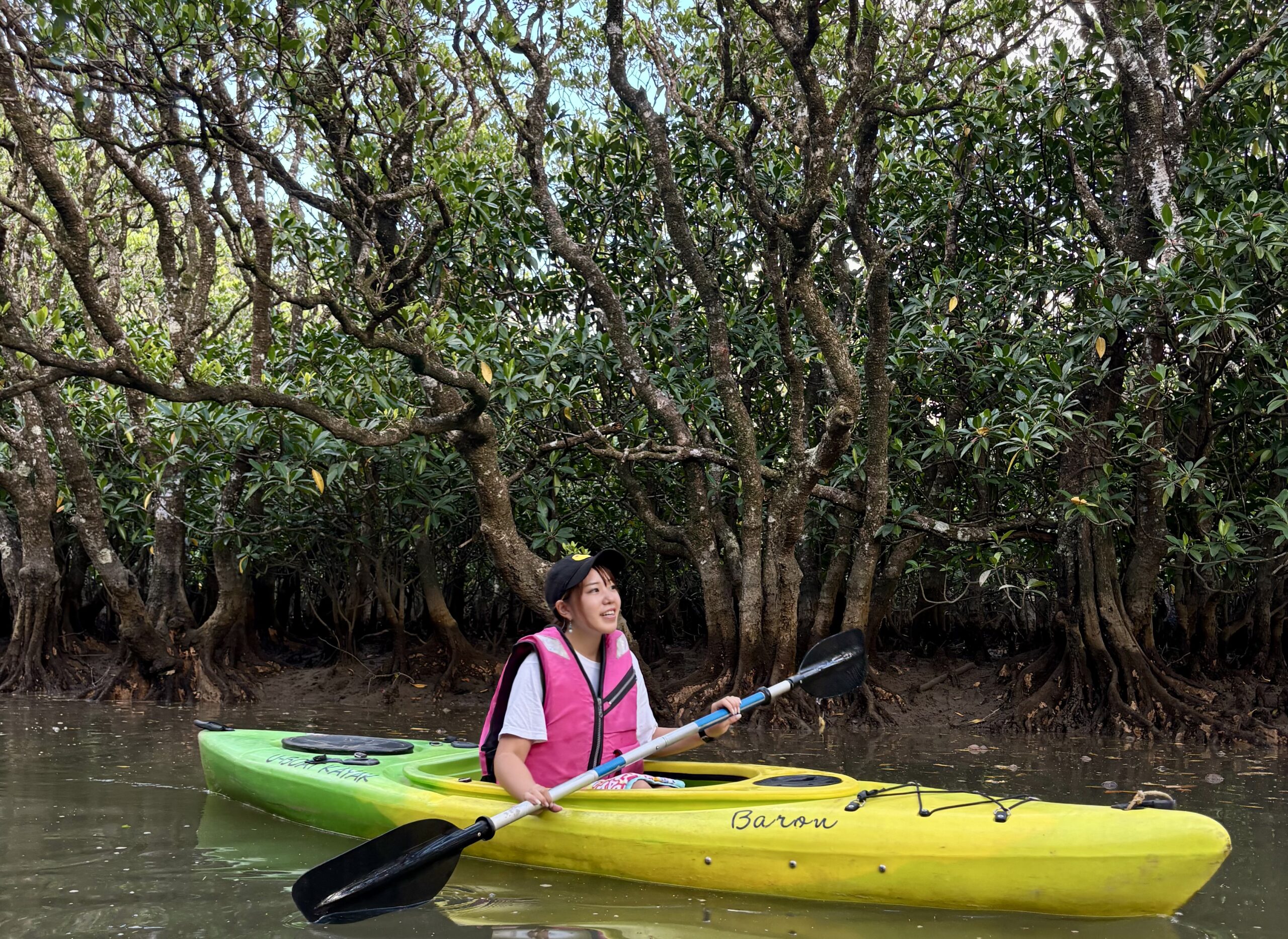 マングローブカヌー