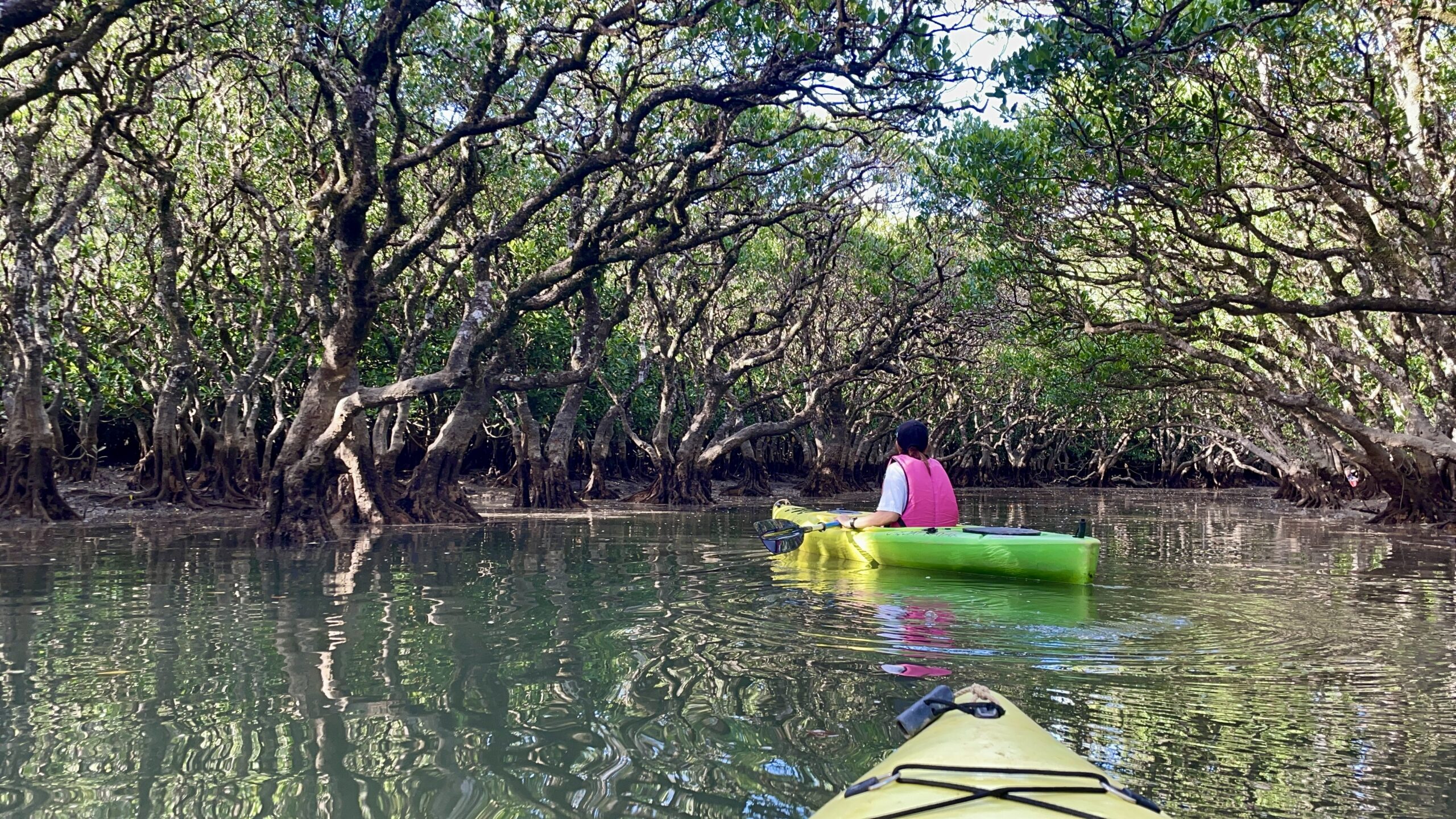 マングローブパークで漕いでる様子