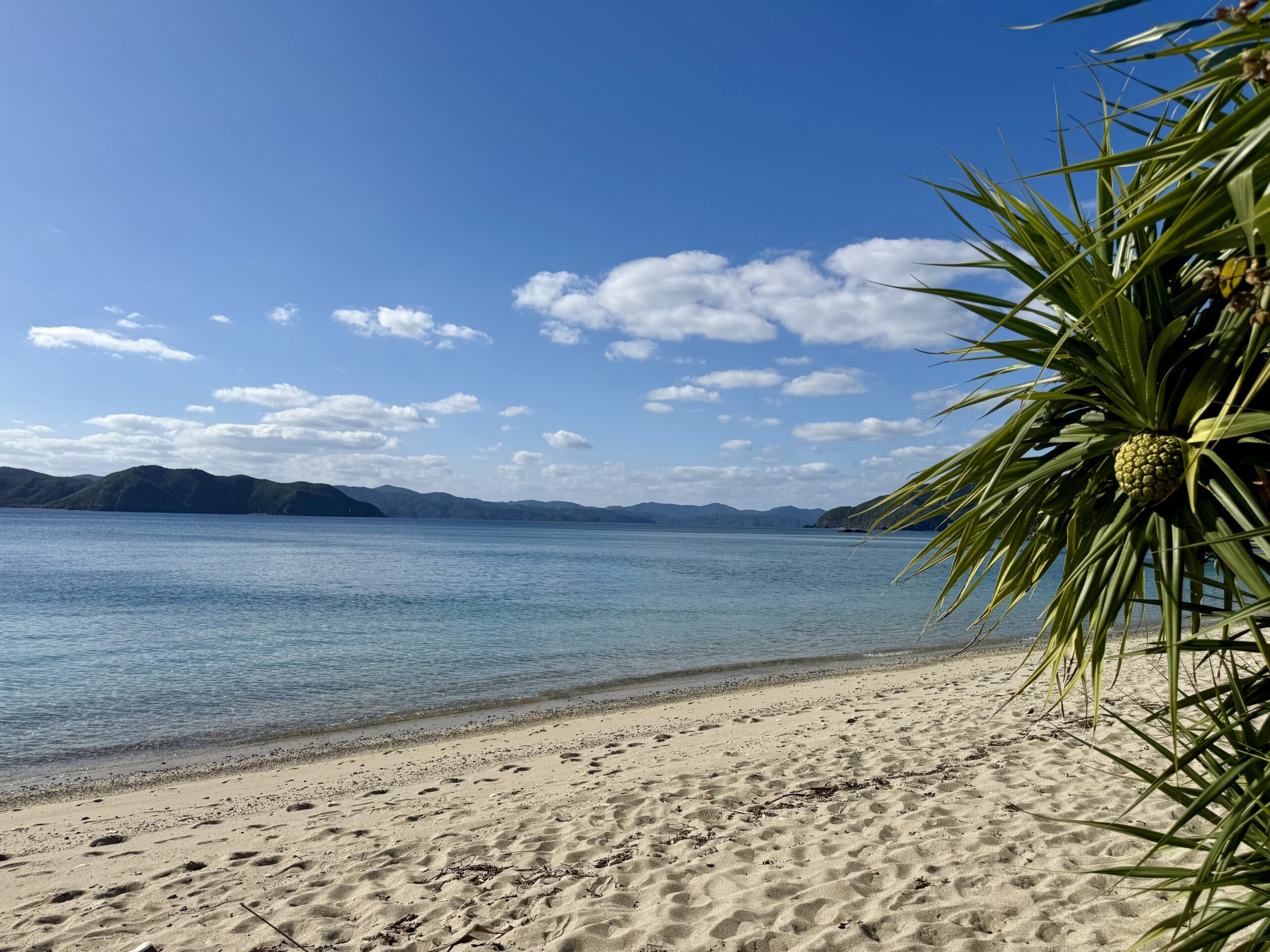 瀬戸内町ヤドリ浜のビーチ