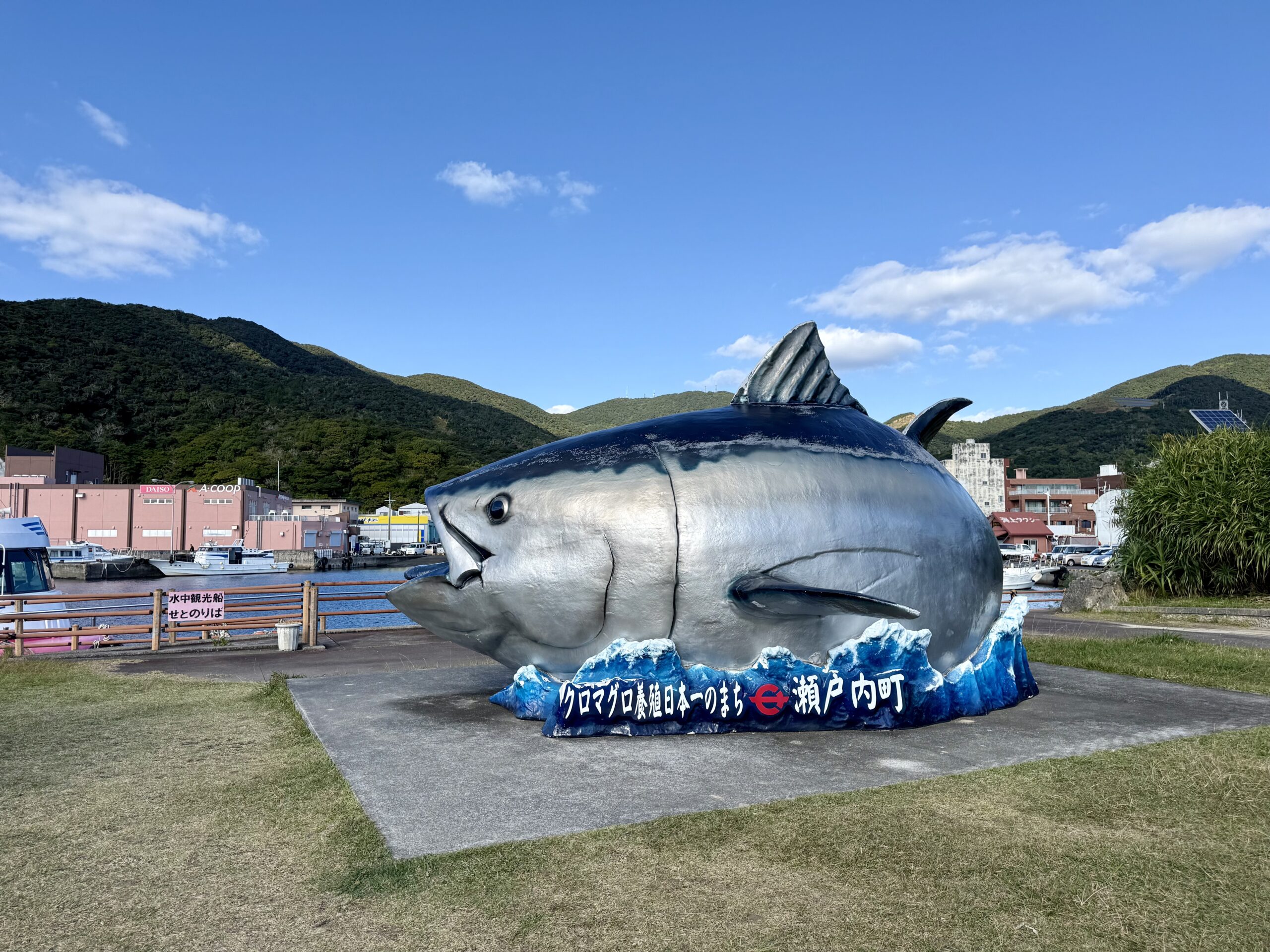 瀬戸内町海の駅クジラオブジェ
