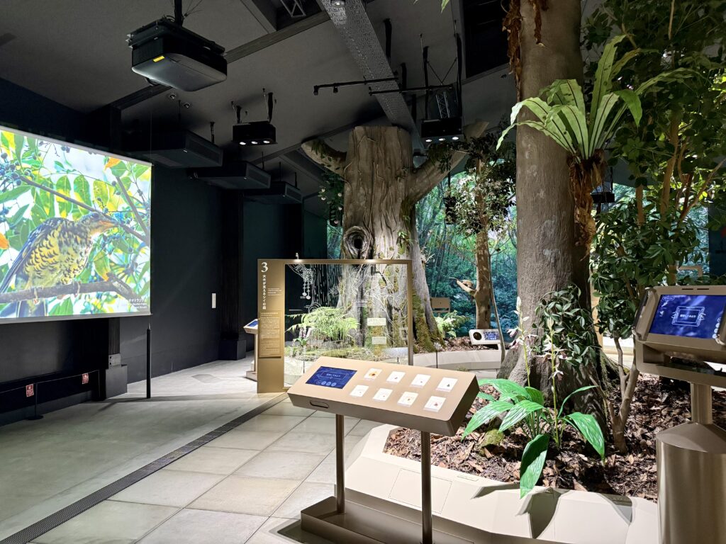 奄美世界自然遺産センター内観