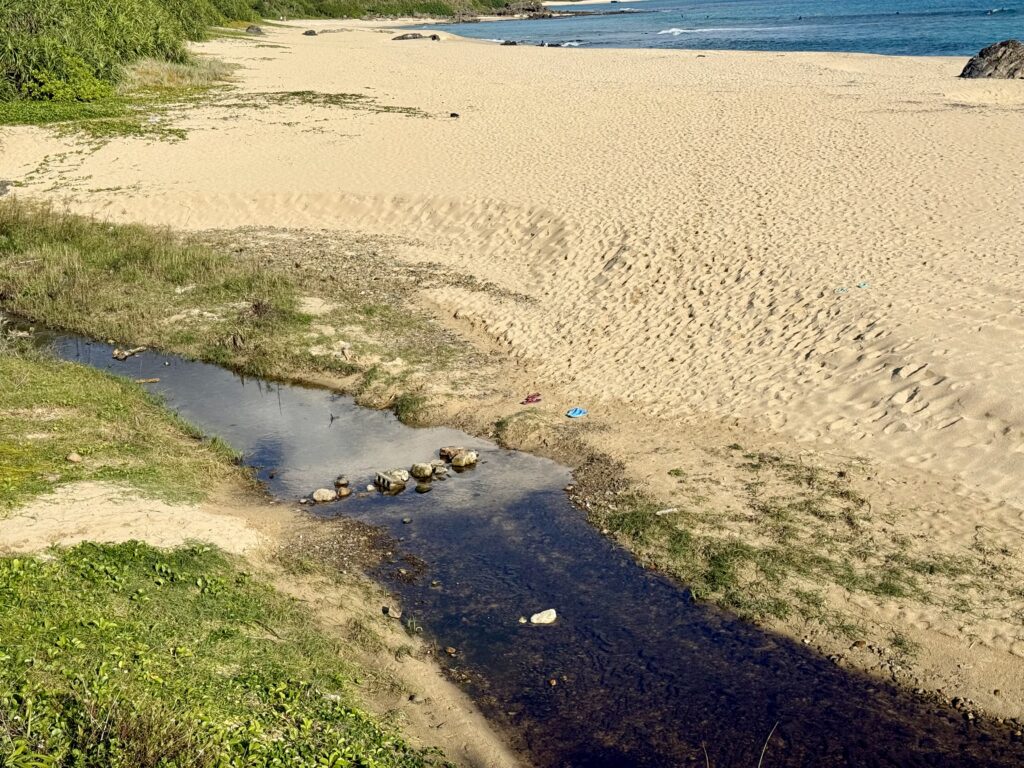 手広海岸の小さな川