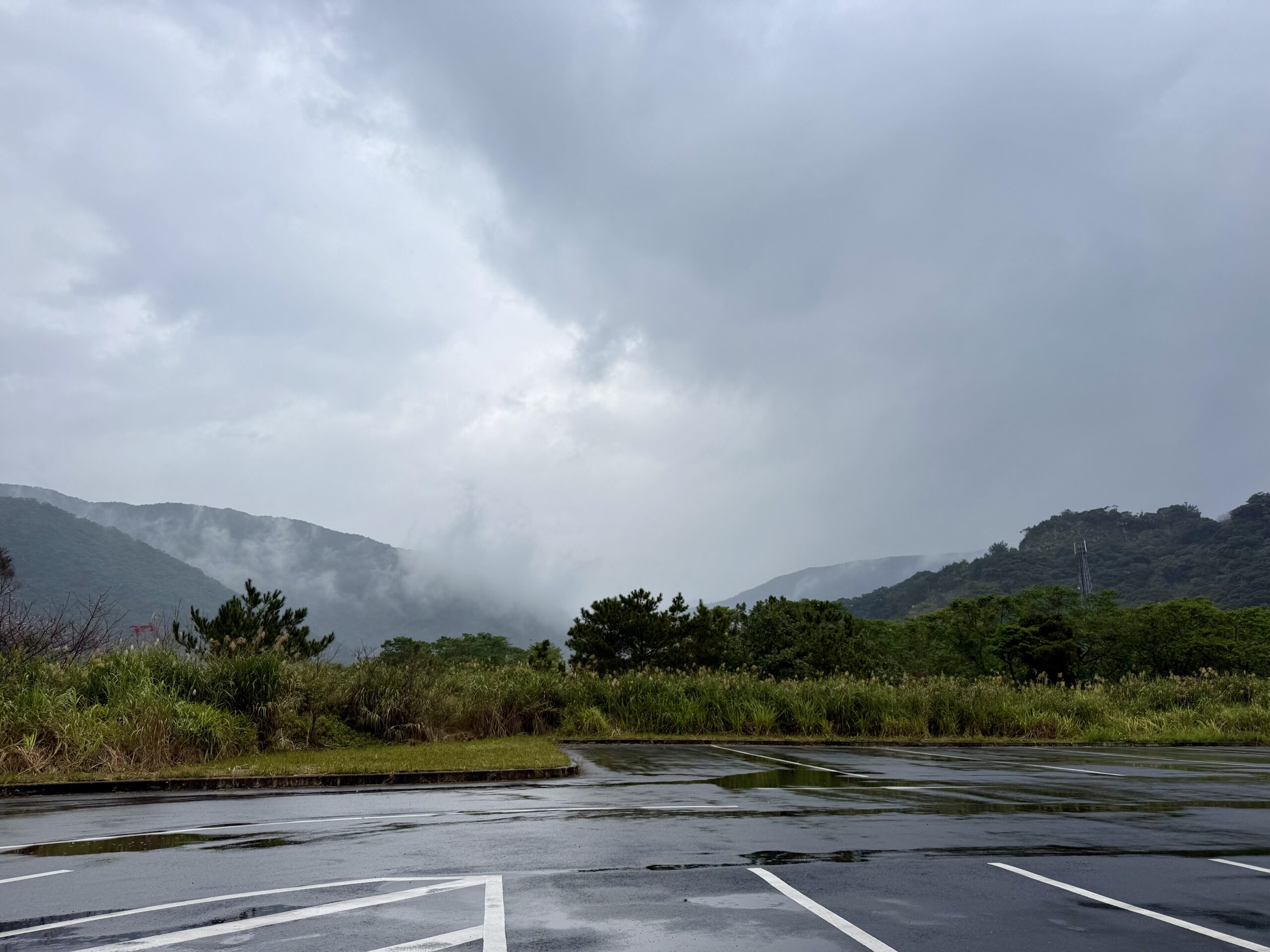 世界自然遺産センター駐車場