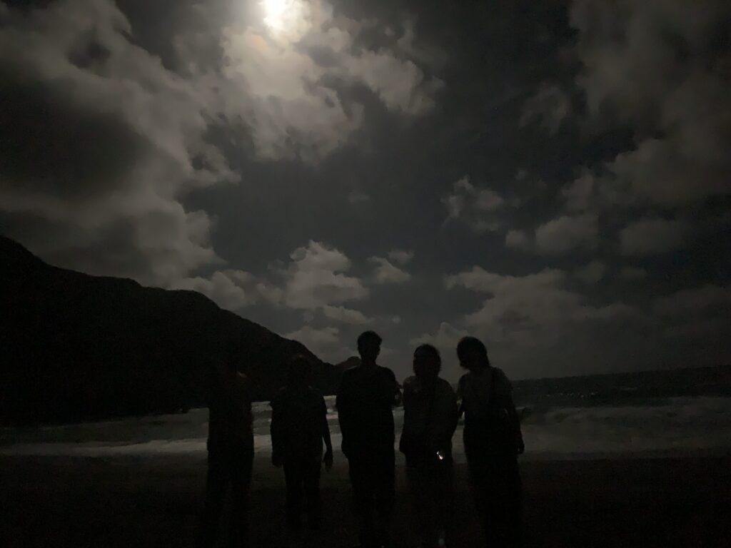 ナイトツアー夜の海