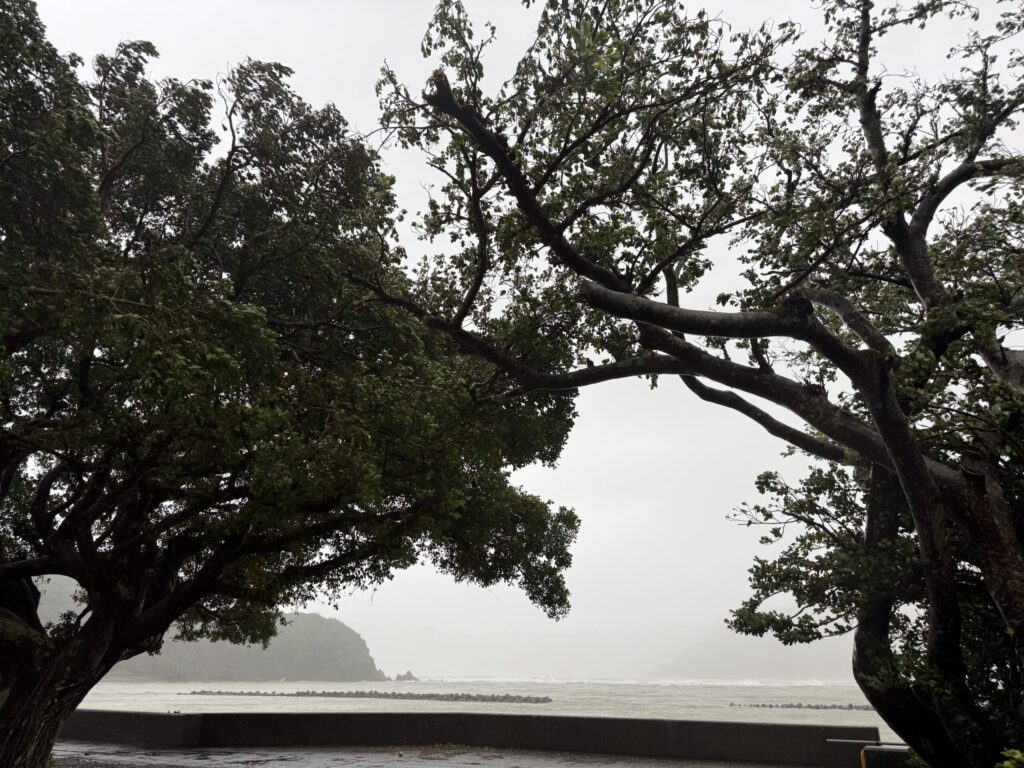 奄美台風被害