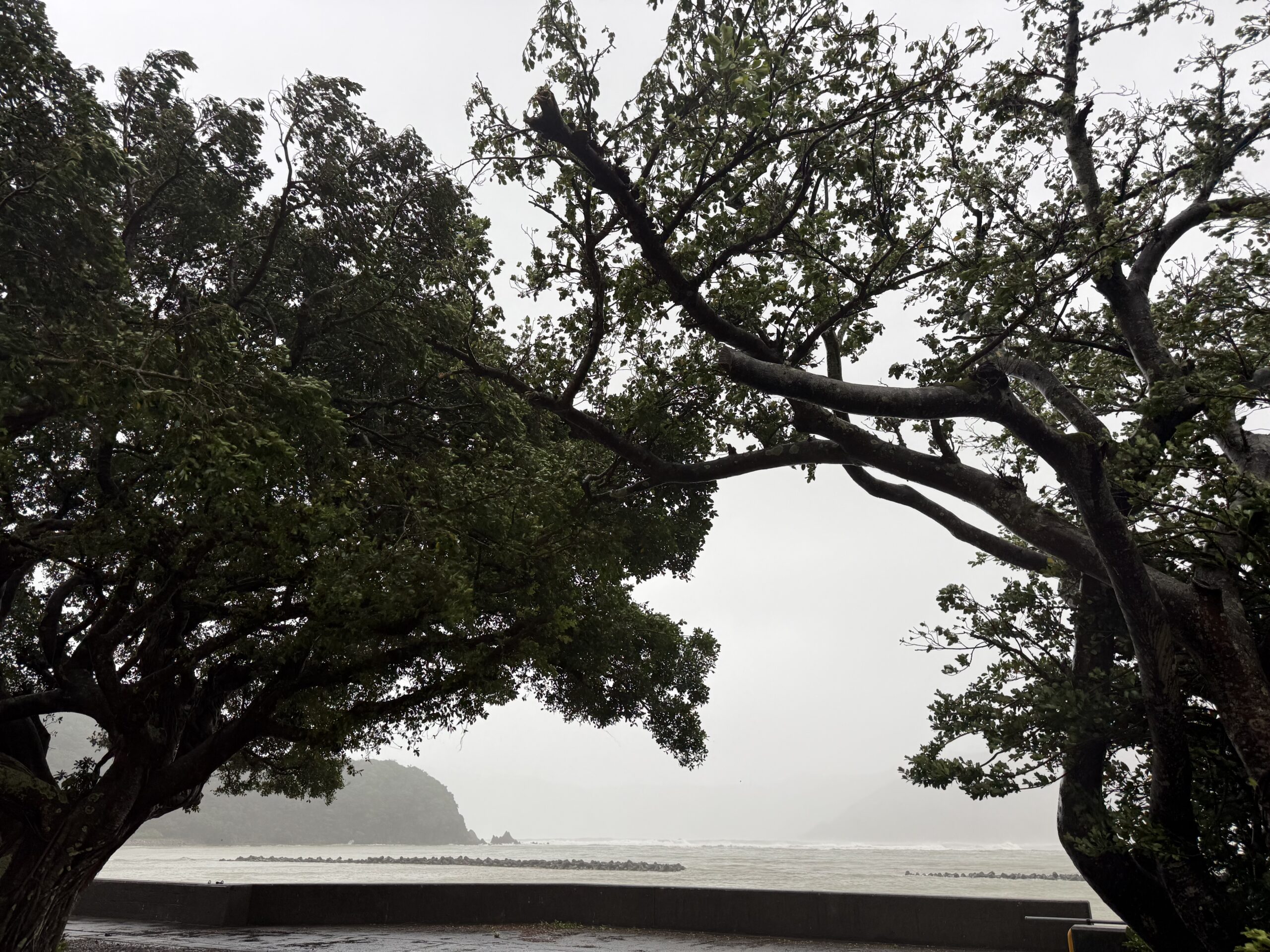 奄美台風被害