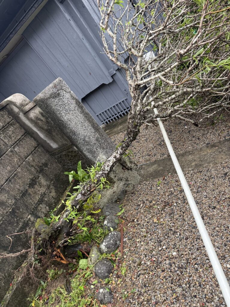 奄美台風被害