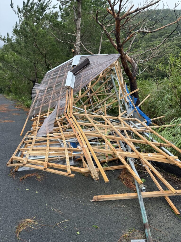 奄美台風被害